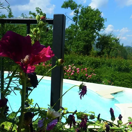 In With Swimming Pool